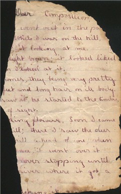DIARY-1 opal whiteley diary fragment oregon dorena