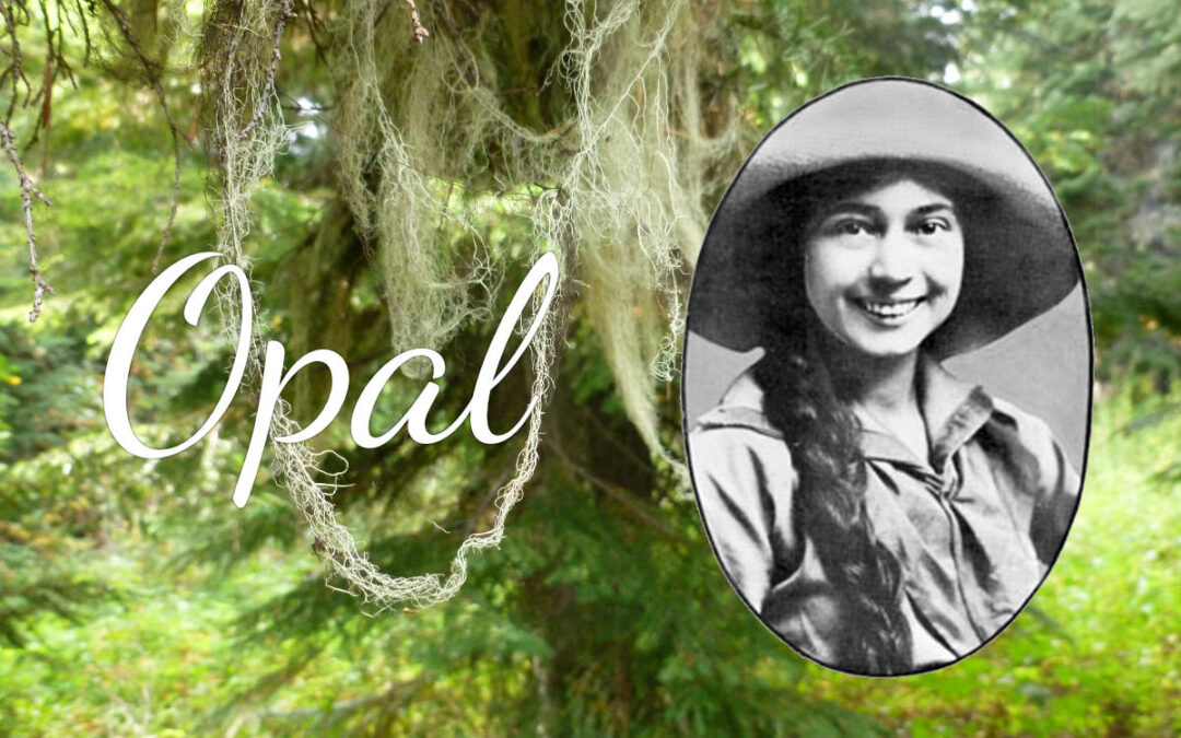 Who Was Opal Whiteley?