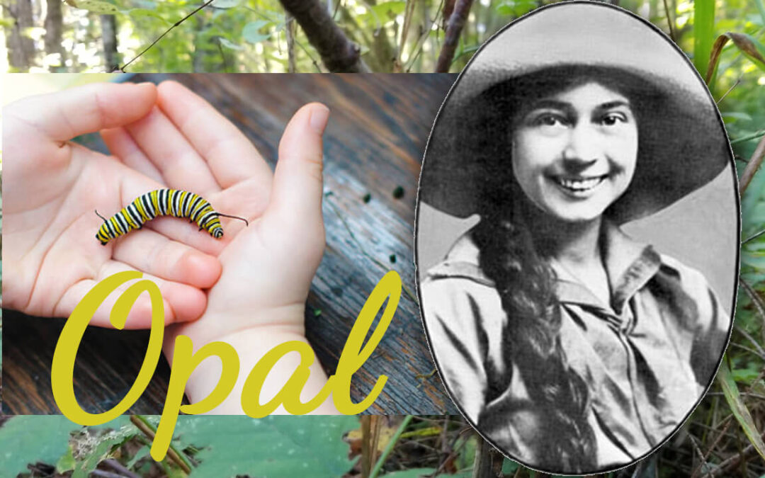 Who Was Opal Whiteley?